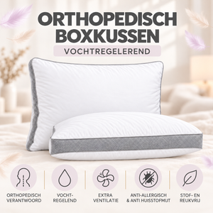 Boxkussen 3D Mesh