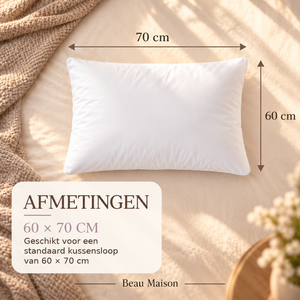 Budget Pillows | 2-pack vacuum packed